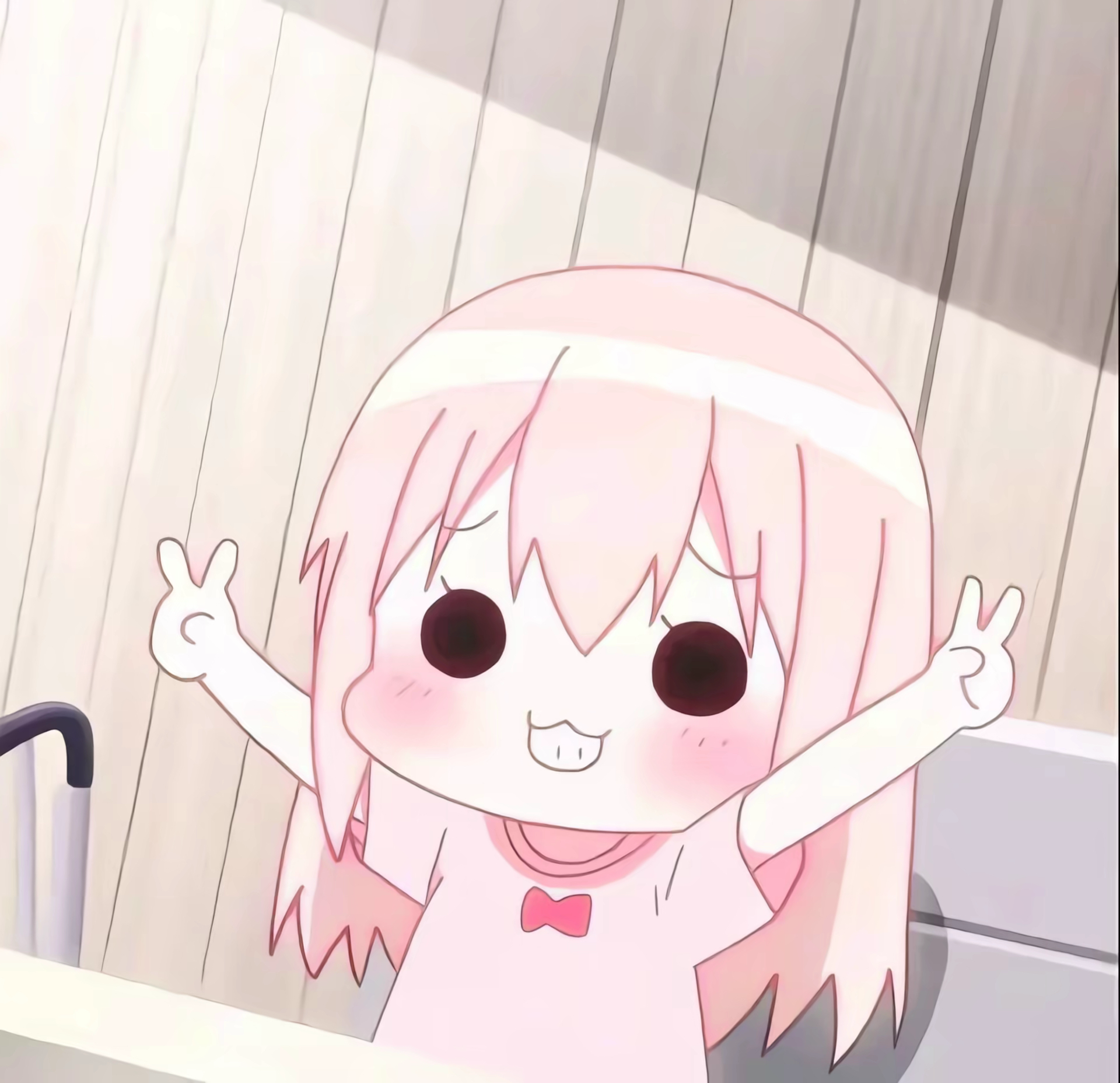 软件类目